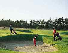 Golf Urlaub in Henne Strand / Daenemark nur 2500 m vom Ferienhaus entfernt