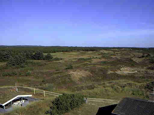 Henne Strand / Daenemark Richtung Wald