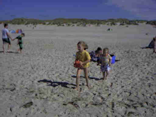 Strandleben Henne Strand / Daenemark. Hier hat jeder Spass und Platz genug