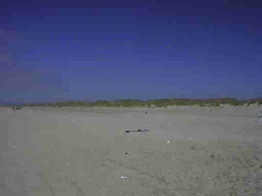 Strandleben Henne Strand / Daenemark. Hier hat jeder Spass und Platz genug