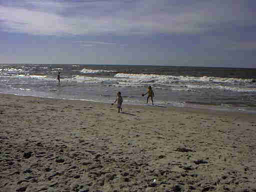 Strandleben Henne Strand / Daenemark. Hier hat jeder Spass und Platz genug