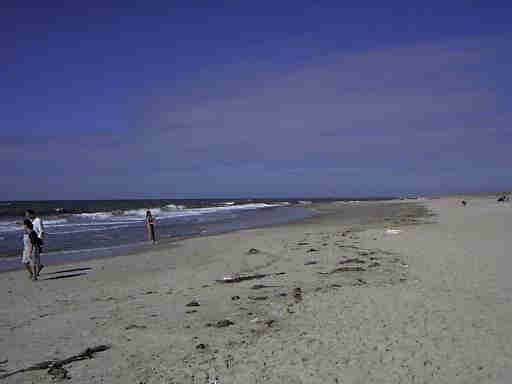 Strandleben Henne Strand / Daenemark. Hier hat jeder Spass und Platz genug