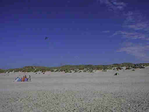 Strandleben Henne Strand / Daenemark. Hier hat jeder Spass und Platz genug