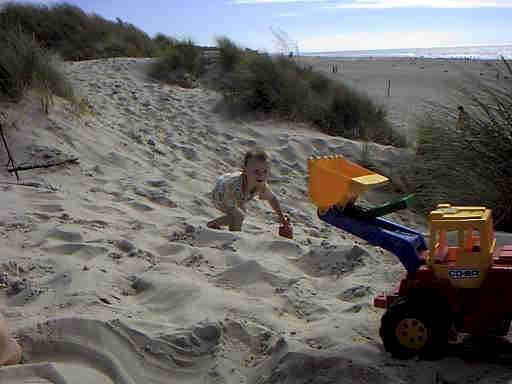 Dnen Landschaft Henne Strand / Daenemark