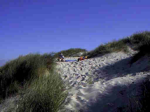 Dnen Landschaft Henne Strand / Daenemark