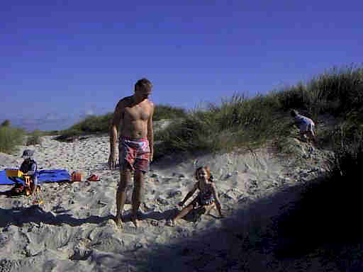 Dnen Landschaft Henne Strand / Daenemark