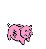 Privat Mieten = Geld sparen 